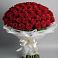 Букет 101 Красная роза Блэк Мэджик в Стрелке Краснодарского края