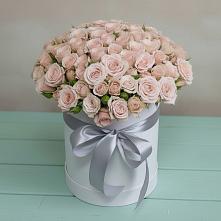 Цветочная композиция из Розы в шляпной коробке в Стрелке Краснодарского края