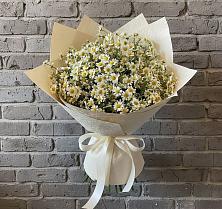 Букет цветов из:  Ромашки в Стрелке Краснодарского края