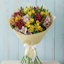 Букет цветов из:  Альстромерии #REPLACE_PRED# Стрелке Краснодарского края