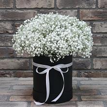 Цветочная композиция из Гипсофила в шляпной коробке #REPLACE_PRED# Стрелке Краснодарского края